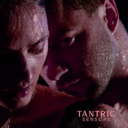 Tantric Sensors: Sensual & Erotic Night, Seductive Mix - Musica tantrica consort