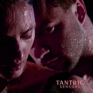 Tantric Sensors: Sensual & Erotic Night, Seductive Mix - Musica tantrica consort
