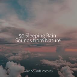 50 Sleeping Rain Sounds from Nature - Sonidos De Truenos y Lluvia