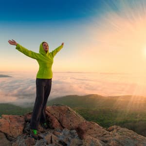 Wilderness Whispers: Embracing Nature's Serene Melodies - Wildlife Sound Recordings