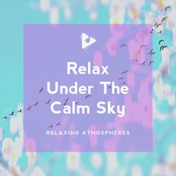Relax Under The Calm Sky - Relaxing Spa Music