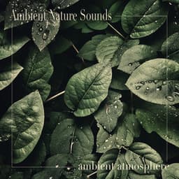 Ambient Atmosphere - Ambient Nature Sounds