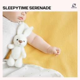Sleepytime Serenade - Baby Bedtime Music