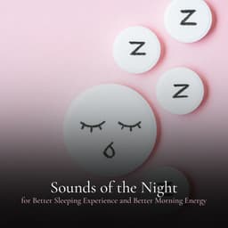 Sounds of the Night for Better Sleeping Experience and Better Morning Energy - Calm Music for Sleeping