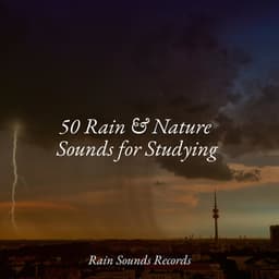 50 Rain & Nature Sounds for Studying - Natureza