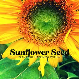 Sunflower Seed: Plant the Happiness Within, Mindfulness Meditation for Anxiety, Set Your Spirit Free, Never Give Up - Cure Depression Music Academy