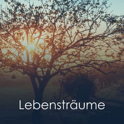 Lebensträume - Schlaf Hilfe