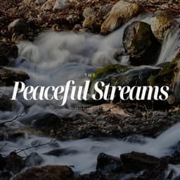The Peaceful Streams - Tai Chi Relaxation
