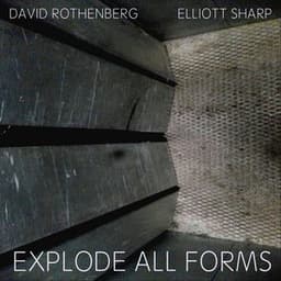 Explode All Forms - David Rothenberg