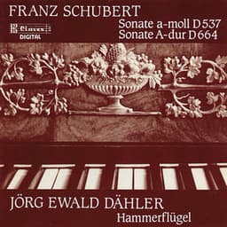 Schubert Sonatas on Brodmann's Hammerklavier - Franz Schubert