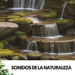 Sonidos de la Naturaleza: Bosque Encantado - Cat Music Therapy