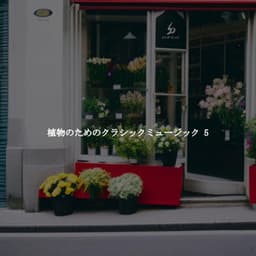 植物のためのクラシックミュージック 5 - Música para Estudiar Playlists