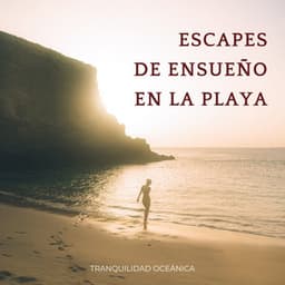Escapes De Ensueño En La Playa: Tranquilidad Oceánica - Grabaciones relajantes de la Naturaleza