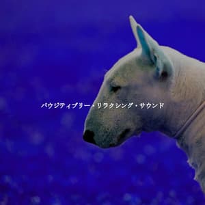 パウジティブリー・リラクシング・サウンド - Cafe Restaurant Music