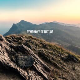 Symphony of Nature for Mind Purification & Restore Balance in the Body - Balanced New Age Rhythms