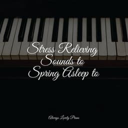 50 Calming Piano Tracks to Melt Your Stress Away - Piano Bar Music Specialists