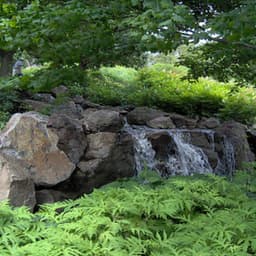 Ambience Library - Mindfulness Oefeningen