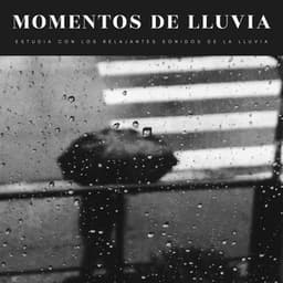 Momentos De Lluvia: Estudia Con Los Relajantes Sonidos De La Lluvia - Música Relajante Para Leer