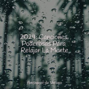 2024: Canciones Poderosas Para Relajar La Mente - Calming Sounds