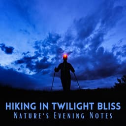 Hiking in Twilight Bliss: Nature's Evening Notes - Ambient Nature Sounds