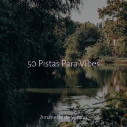 50 Pistas Para Vibes - Nature Sounds Nature Music