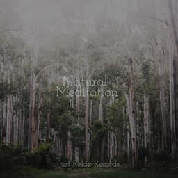 Natural Meditation - Meditation Spa