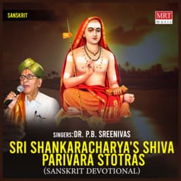 Sri Shankaracharya's Shiva Parivara Stotras - P. B. Sreenivas