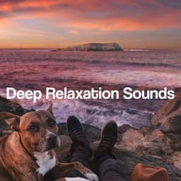 Deep Relaxation Sounds - Relaxing Music Oasis