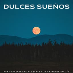 Dulces Sueños: Una Acogedora Siesta Junto A Los Arroyos Del Río - Siestas diurnas