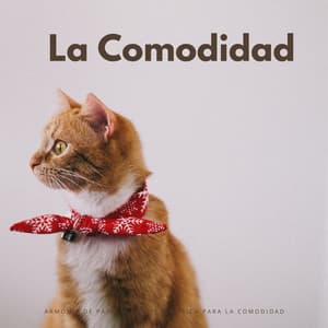Armonía De Patas Y Bigotes: Música Para La Comodidad - Effectum