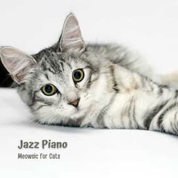 Jazz Piano: Meowsic for Cats - Moonlight Sonata