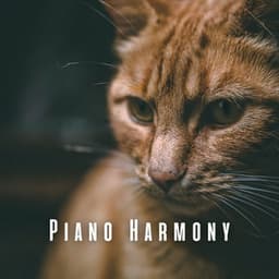 Piano Harmony: Dreamy Tunes for Contented Cats - Peaceful Piano Jazz