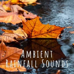 Ambient Rainfall Sounds - Rain is my Life