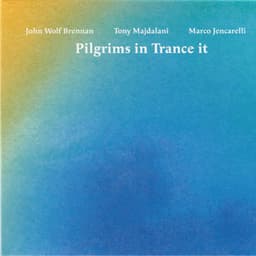 Pilgrims in Trance It - John Wolf Brennan