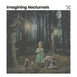 Imagining Nocturnals - High Altitude Samples