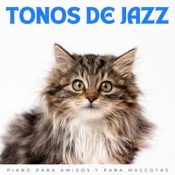 Tonos De Jazz: Piano Para Amigos Y Para Mascotas - Ambiente relajante de jazz instrumental