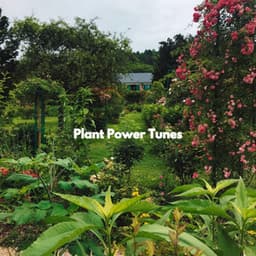 Plant Power Tunes - Playlist Musica para Leer