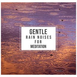 #21 Gentle Rain Noises for Guided Meditation - Sounds Of Rain & Thunder Storms