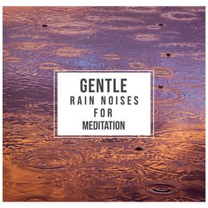 #21 Gentle Rain Noises for Guided Meditation - Sounds Of Rain & Thunder Storms
