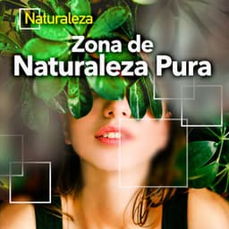Zona de Naturaleza Pura - Naturaleza