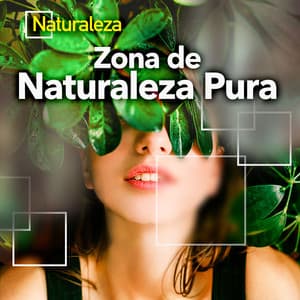 Zona de Naturaleza Pura - Naturaleza