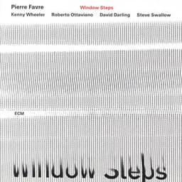 Window Steps - Pierre Favre