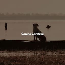 Canine Carefree - Coffee Shop Music
