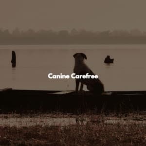 Canine Carefree - Coffee Shop Music