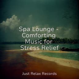 Spa Lounge - Comforting Music for Stress Relief - Preschool Kids