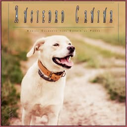 Ansiedad Canina: Música Calmante para Dormir al Perro - Música Para Perros