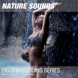 Nature Recordings - Epic waterfalls - Nature Sounds