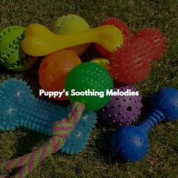 Puppy's Soothing Melodies - Evening Jazz Relaxation