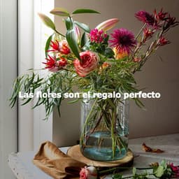 Las flores son el regalo perfecto - Mellow Sunday Morning Music