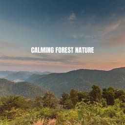 Calming Forest Nature - Ocean Waves For Sleep